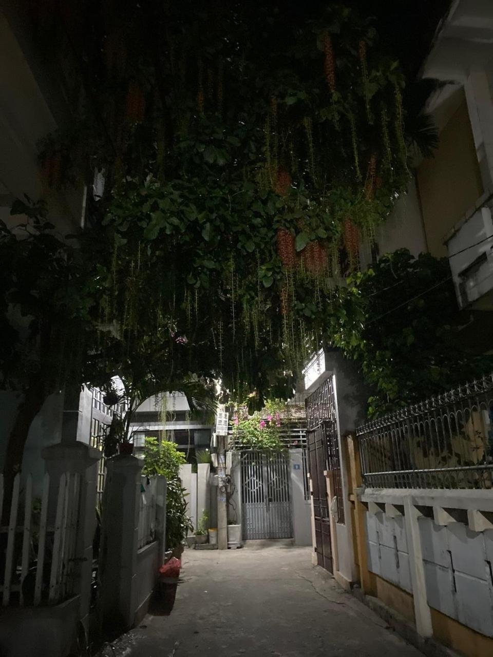 Aumori Hostel Донг Хой Екстериор снимка